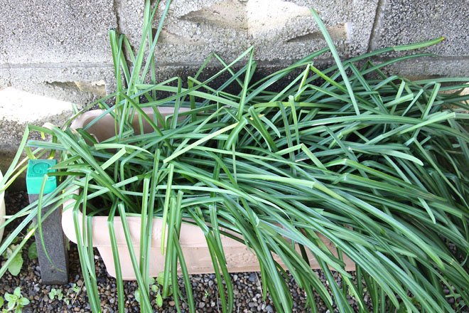 f:id:takahikonojima:20220320073644j:plain