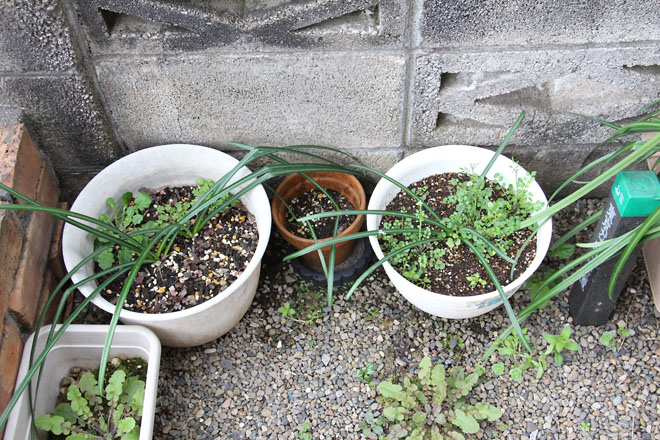 f:id:takahikonojima:20220321072832j:plain