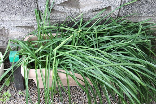 f:id:takahikonojima:20220321072837j:plain