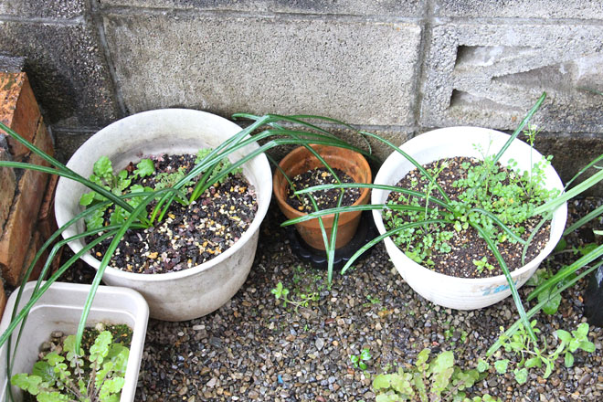 f:id:takahikonojima:20220322081155j:plain