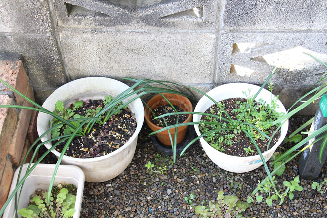 f:id:takahikonojima:20220324075235j:plain