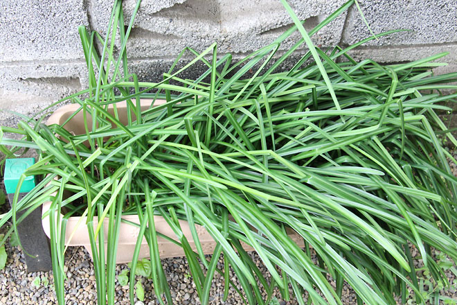 f:id:takahikonojima:20220326080813j:plain