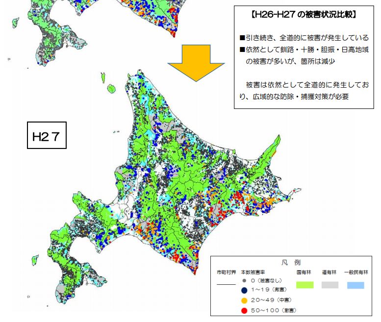 狩猟 忍び猟をしたいので エゾシカの生息地 を調べてみた ヘルシー ハンターの雑念