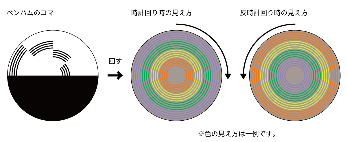 ベンハムのコマ あなたは何色に見える 白黒なのに色がついて見える独楽の原理 ヘルシー ハンターの雑念