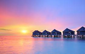 f:id:takahiro-tsujino:20181113174053j:plain f:id:takahiro-tsujino:20181113174053j:plain