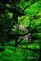 20100415114359