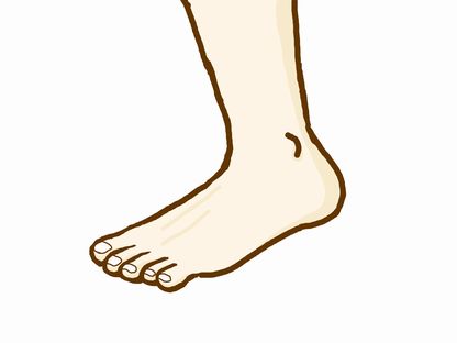 f:id:takahon:20180524084657j:plain f:id:takahon:20180524084657j:plain