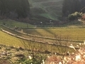 20190122163433