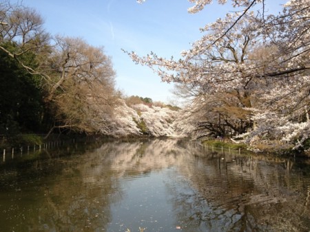 f:id:takajoy:20120410225356j:image