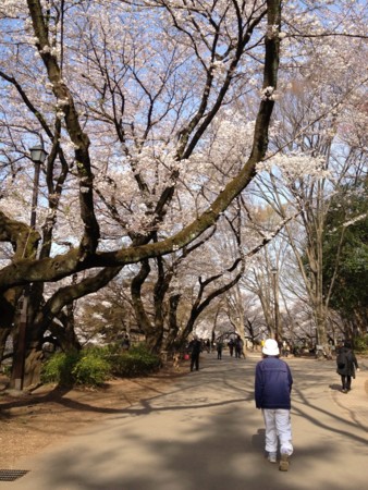 f:id:takajoy:20120410225443j:image