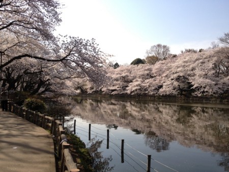 f:id:takajoy:20120410225513j:image