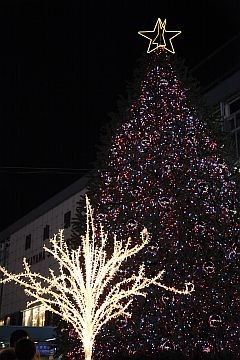 f:id:takajun7777:20081129212253j:image