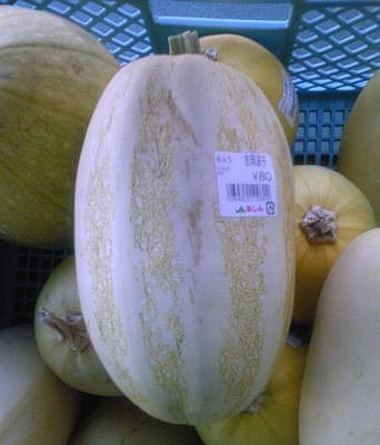 f:id:takajun7777:20090827091721j:image