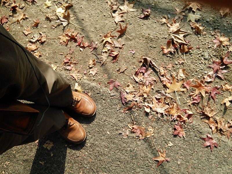 f:id:takajun7777:20131117174824j:image:w420