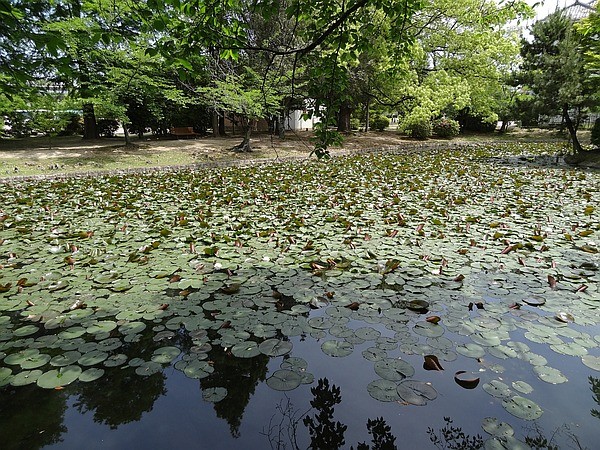 f:id:takajun7777:20140518171052j:image