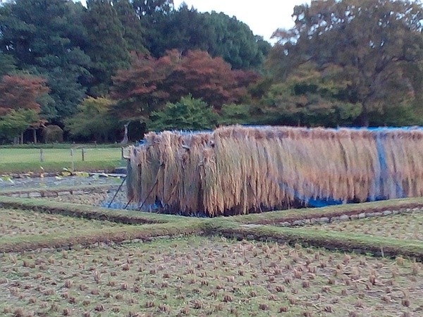 f:id:takajun7777:20141012085657j:image