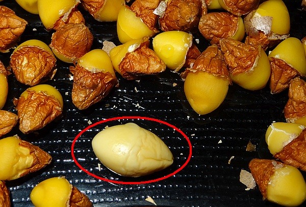 f:id:takajun7777:20150924170704j:image