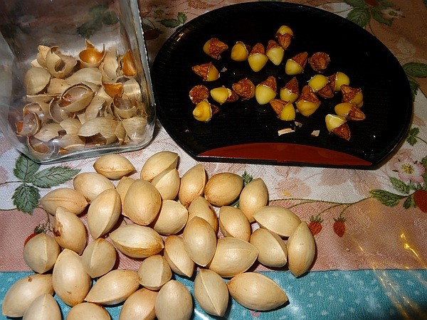 f:id:takajun7777:20150924170705j:image