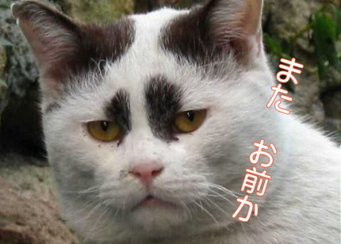 f:id:takajun7777:20160912152419j:image f:id:takajun7777:20160912152419j:image