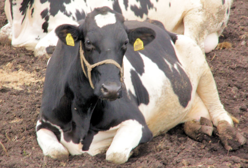 f:id:takajun7777:20161010221812j:image f:id:takajun7777:20161010221812j:image