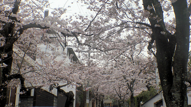 f:id:takajun7777:20170407120141j:image