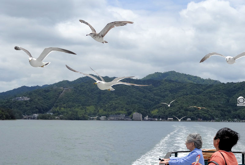 f:id:takajun7777:20170622223836j:image f:id:takajun7777:20170622223836j:image