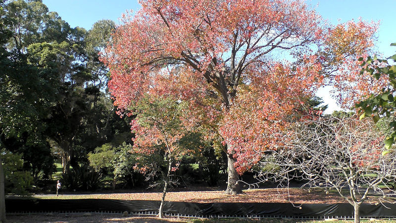 f:id:takajun7777:20170916161330j:image f:id:takajun7777:20170916161330j:image