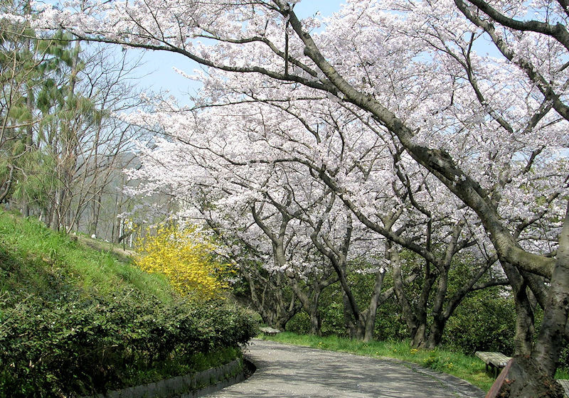 f:id:takajun7777:20171213183937j:image