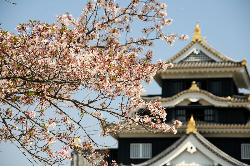 f:id:takajun7777:20171214121904j:image