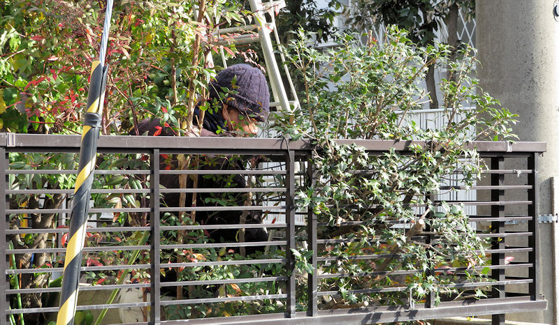 f:id:takajun7777:20171219133125j:image f:id:takajun7777:20171219133125j:image