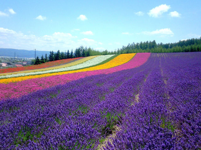 f:id:takajun7777:20180630212045j:image f:id:takajun7777:20180630212045j:image