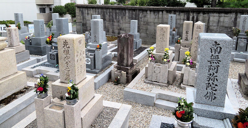 f:id:takajun7777:20180814204308j:image