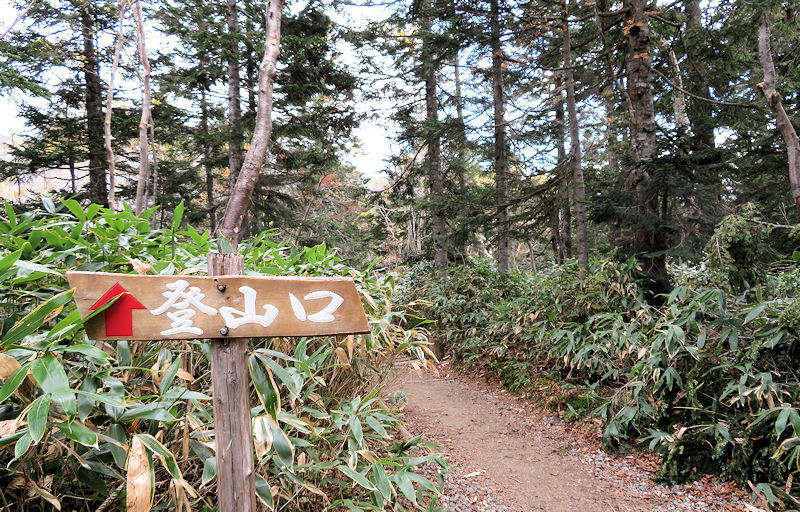 f:id:takajun7777:20181103003939j:image