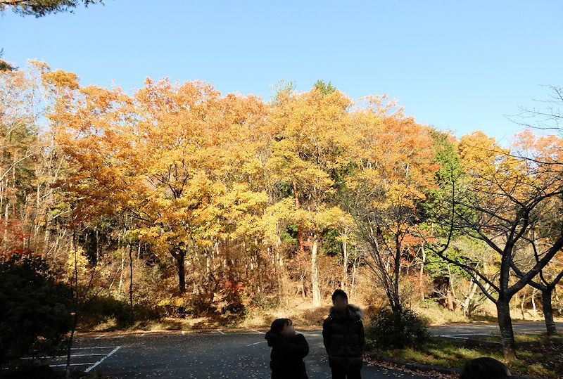 f:id:takajun7777:20181202181246j:image f:id:takajun7777:20181202181246j:image