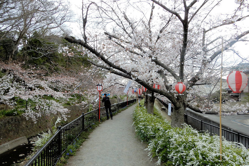 f:id:takajun7777:20190401152130j:plain f:id:takajun7777:20190401152130j:plain