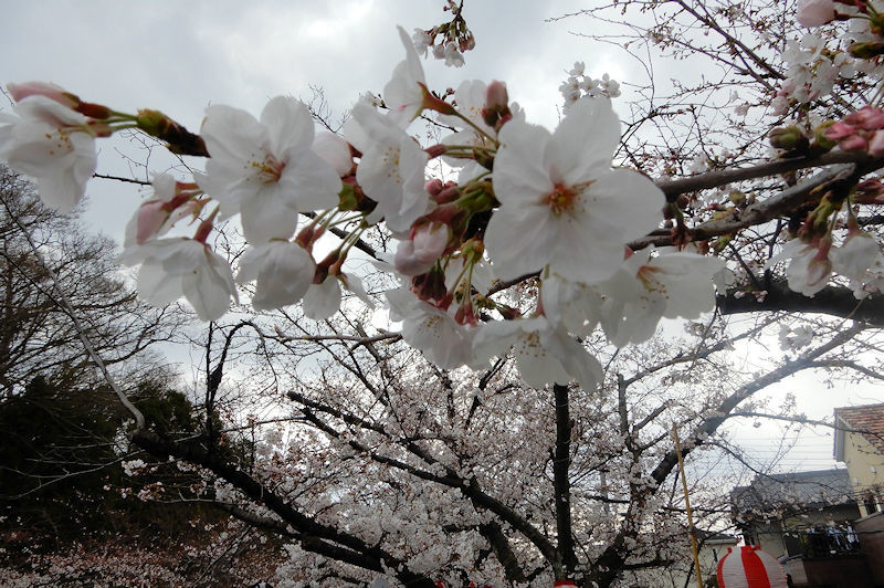 f:id:takajun7777:20190401152131j:plain f:id:takajun7777:20190401152131j:plain