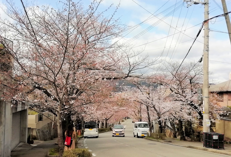 f:id:takajun7777:20200331125614j:plain