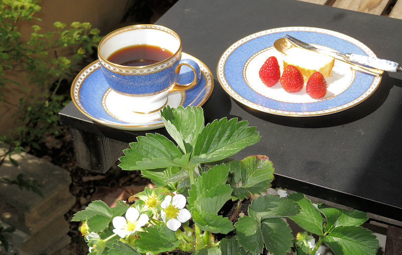 f:id:takajun7777:20210402134959j:plain