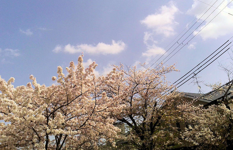 f:id:takajun7777:20210402135627j:plain