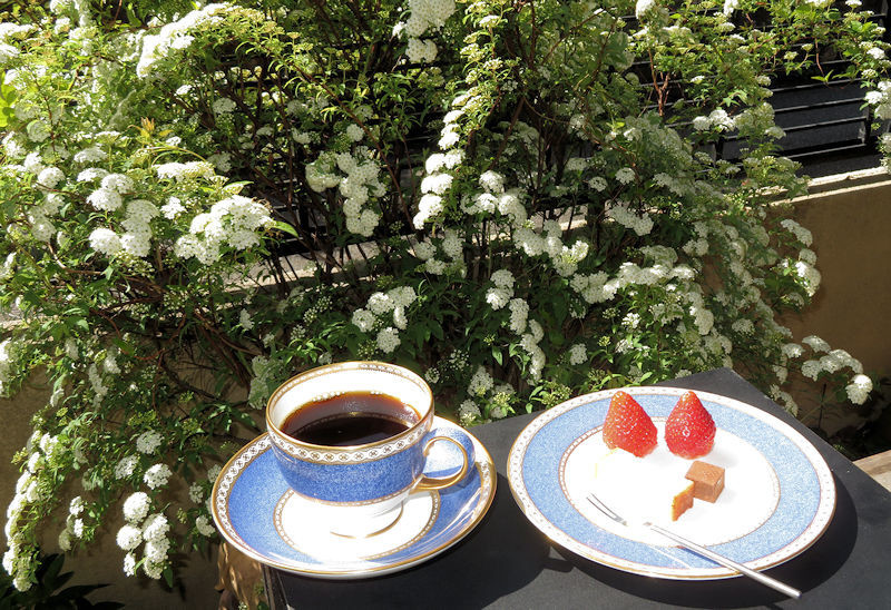 f:id:takajun7777:20210409173306j:plain