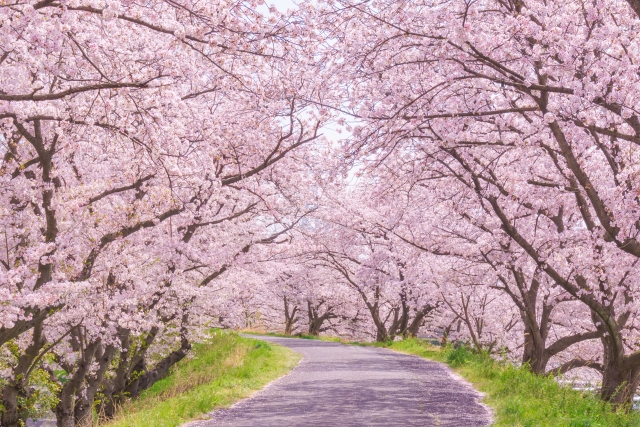 f:id:takakenshi:20220324132135j:plain