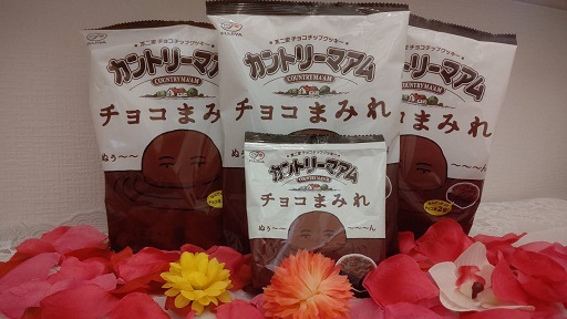 f:id:takakimi1312:20210409215818j:plain