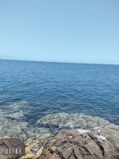 f:id:takakiyo0122:20220622105015j:image f:id:takakiyo0122:20220622105015j:image