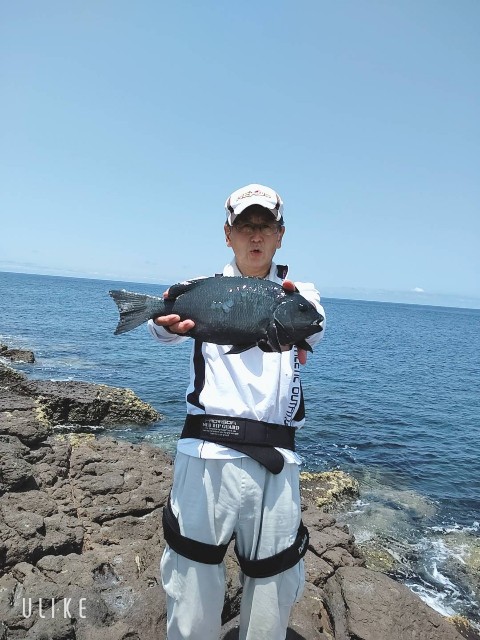 f:id:takakiyo0122:20220622105320j:image f:id:takakiyo0122:20220622105320j:image