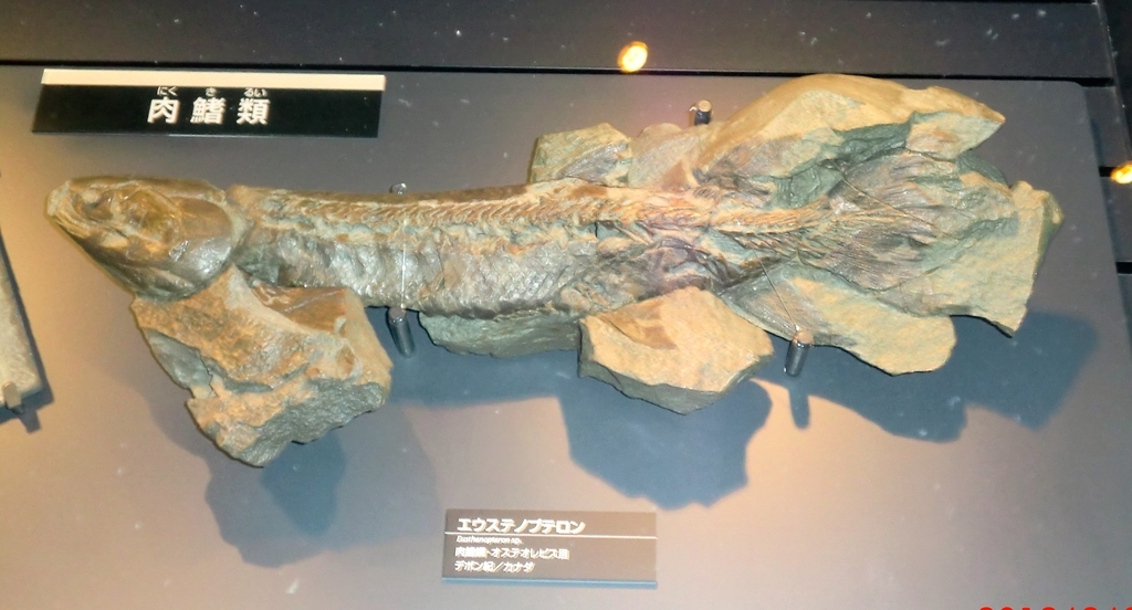 f:id:takakotakakosun:20180905004656j:plain f:id:takakotakakosun:20180905004656j:plain