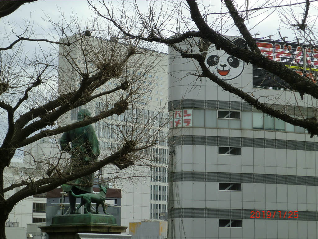 f:id:takakotakakosun:20190129233339j:plain f:id:takakotakakosun:20190129233339j:plain