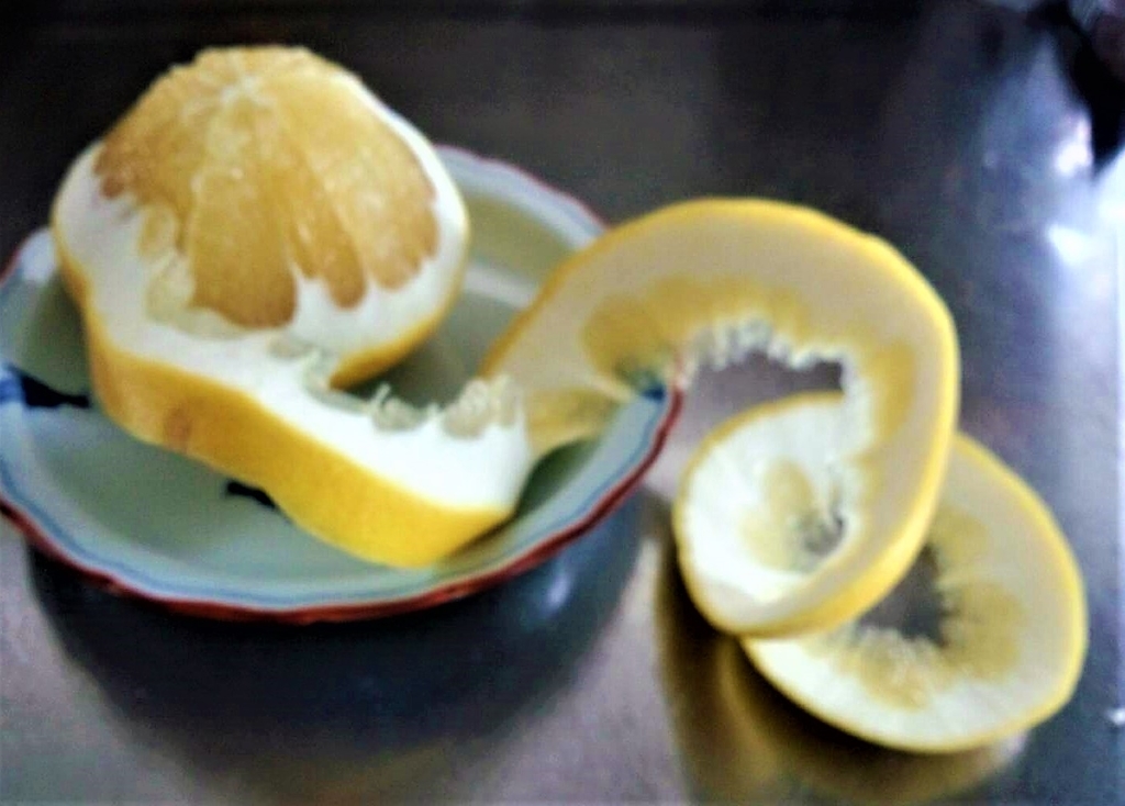 f:id:takakotakakosun:20190209173115j:plain