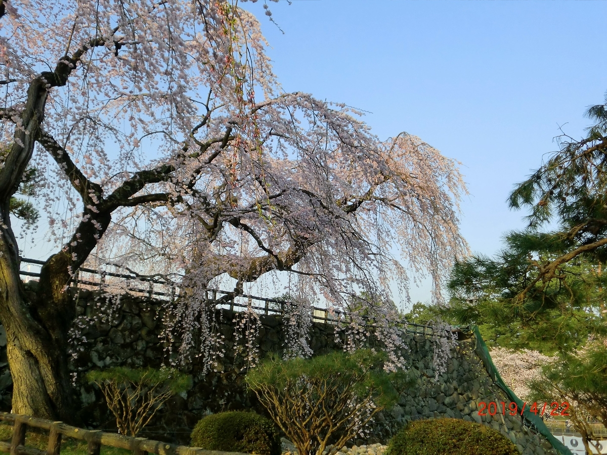 f:id:takakotakakosun:20190423085808j:plain f:id:takakotakakosun:20190423085808j:plain