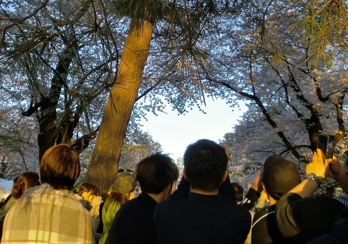 f:id:takakotakakosun:20190429221427j:plain f:id:takakotakakosun:20190429221427j:plain