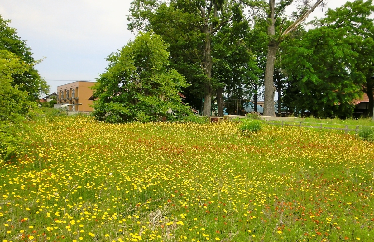 f:id:takakotakakosun:20190608122144j:plain